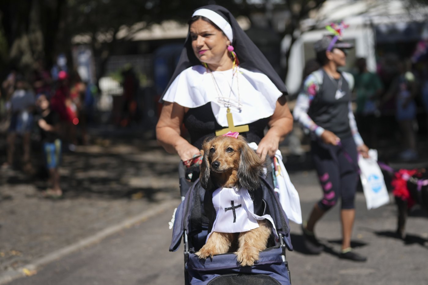 The Rio Carnival street party where dogs parade as superheroes and cartoon characters | iNFOnews.ca The Rio Carnival street party where dogs parade as superheroes and cartoon characters | iNFOnews.ca