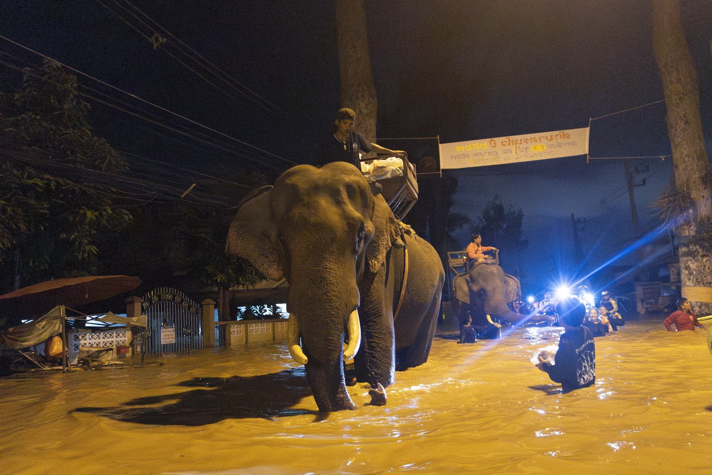 Central Thailand braces for inundation as rain stops in flooded Chiang Mai | iNFOnews.ca Central Thailand braces for inundation as rain stops in flooded Chiang Mai | iNFOnews.ca