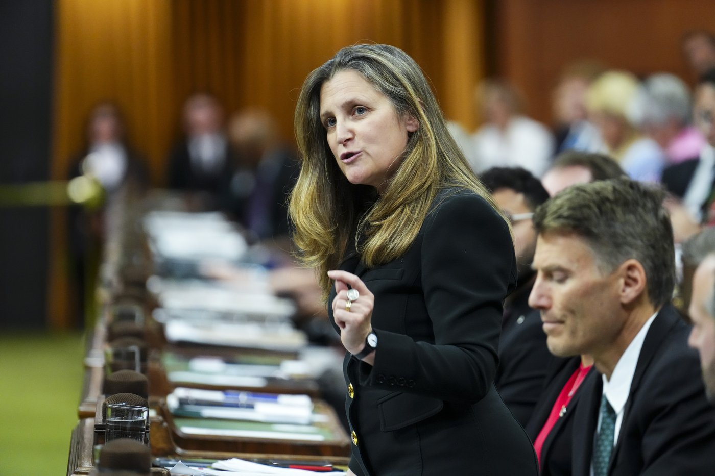 Canada Transport Minister Freeland 'dismayed' by BC Ferries deal with Chinese company | iNFOnews.ca