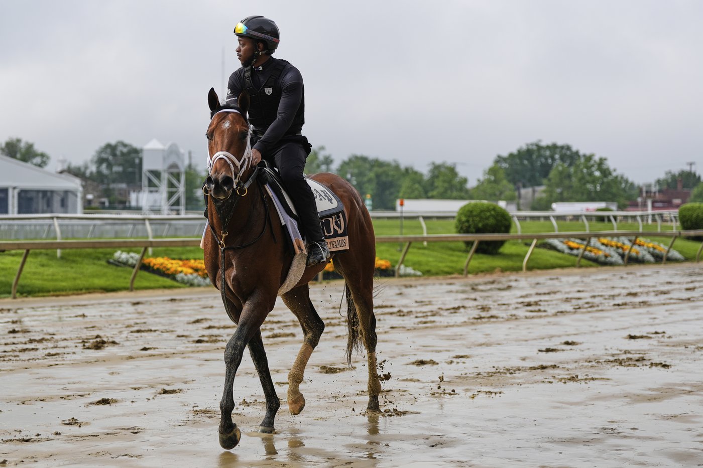 Another Kentucky Derby winner not in the Preakness reignites debate about Triple Crown changes | iNFOnews.ca Another Kentucky Derby winner not in the Preakness reignites debate about Triple Crown changes | iNFOnews.ca