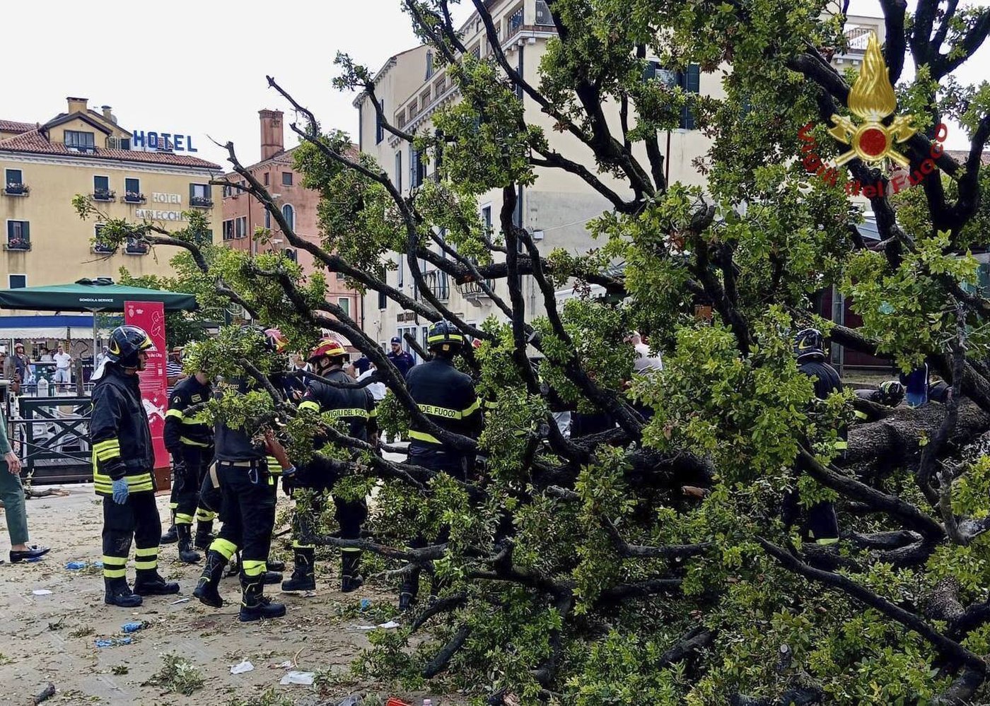 A falling tree in Venice injures a dozen people, including foreign tourists | iNFOnews.ca A falling tree in Venice injures a dozen people, including foreign tourists | iNFOnews.ca