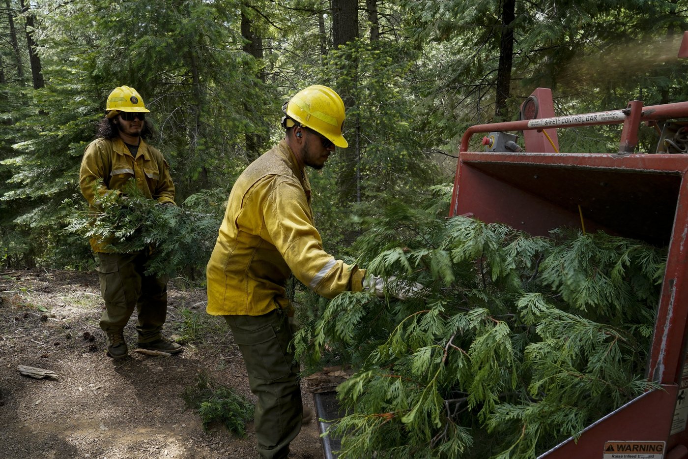 How Trump's mass layoffs raise the risk of wildfires in the US West, according to fired workers | iNFOnews.ca