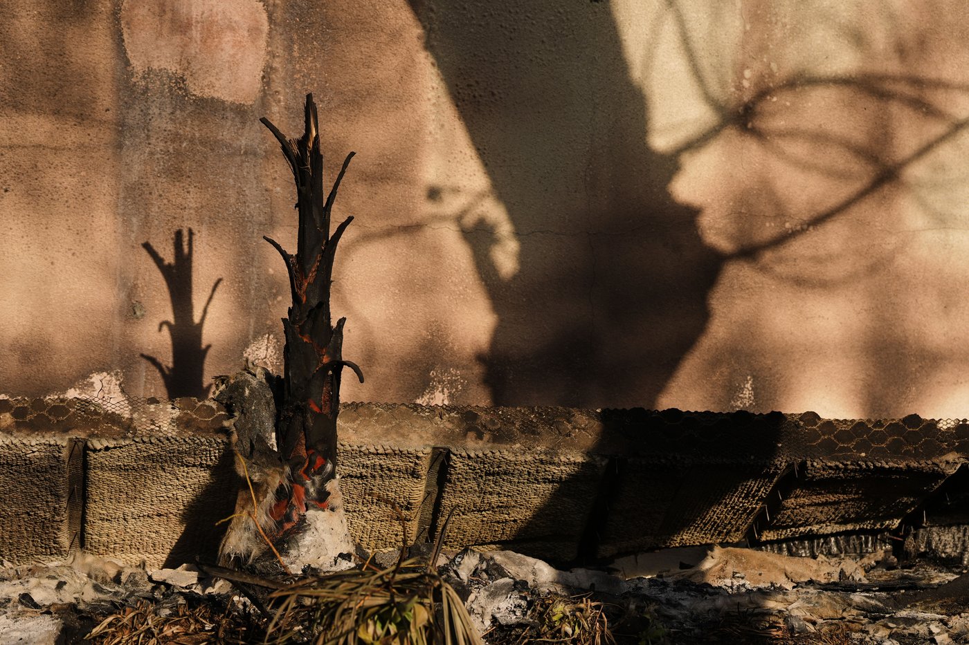 Ash and other dangers mean LA area residents who fled fires a week ago won't be going home soon | iNFOnews.ca Ash and other dangers mean LA area residents who fled fires a week ago won't be going home soon | iNFOnews.ca