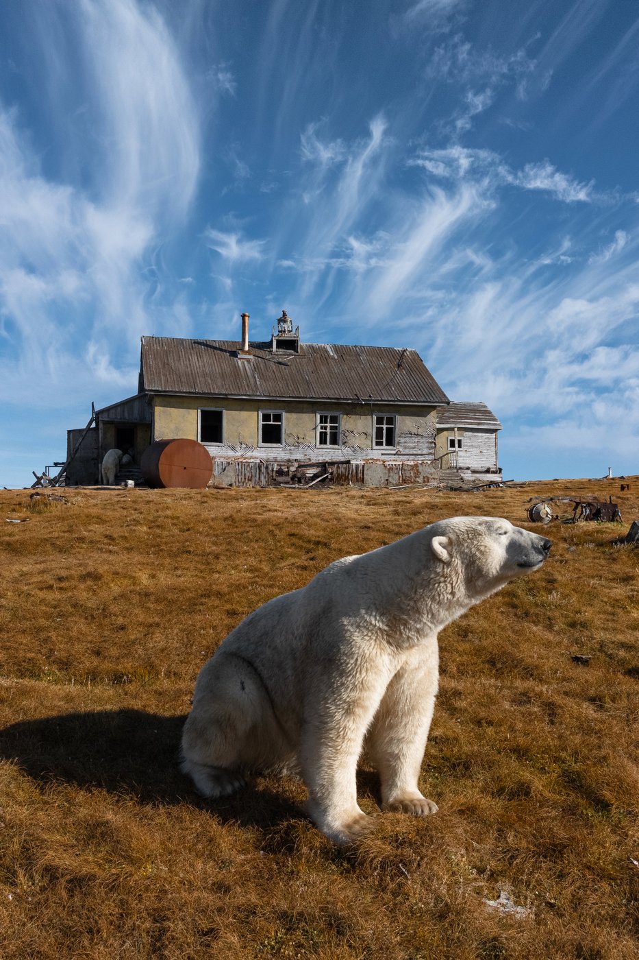 See the world in vertical: Top photos by AP's photojournalists | iNFOnews.ca