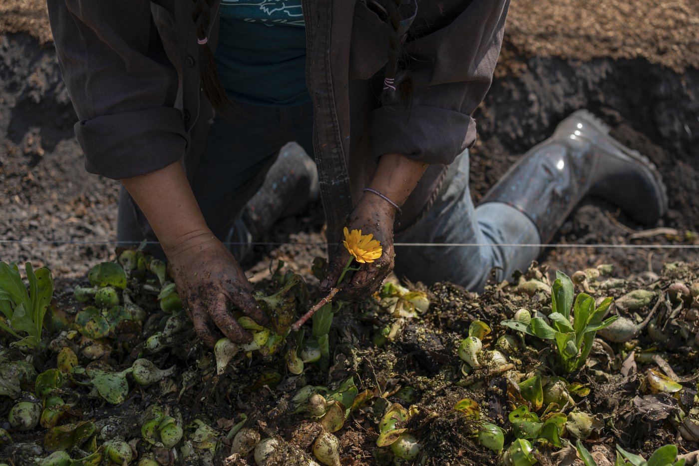 Mexico City’s floating gardens have fed people for hundreds of years. Now they’re threatened | iNFOnews.ca Mexico City’s floating gardens have fed people for hundreds of years. Now they’re threatened | iNFOnews.ca