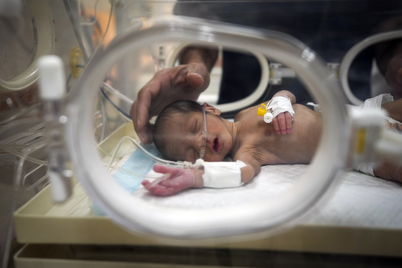 A fourth infant dies of the winter cold in Gaza as families share blankets in seaside tents | iNFOnews.ca A fourth infant dies of the winter cold in Gaza as families share blankets in seaside tents | iNFOnews.ca