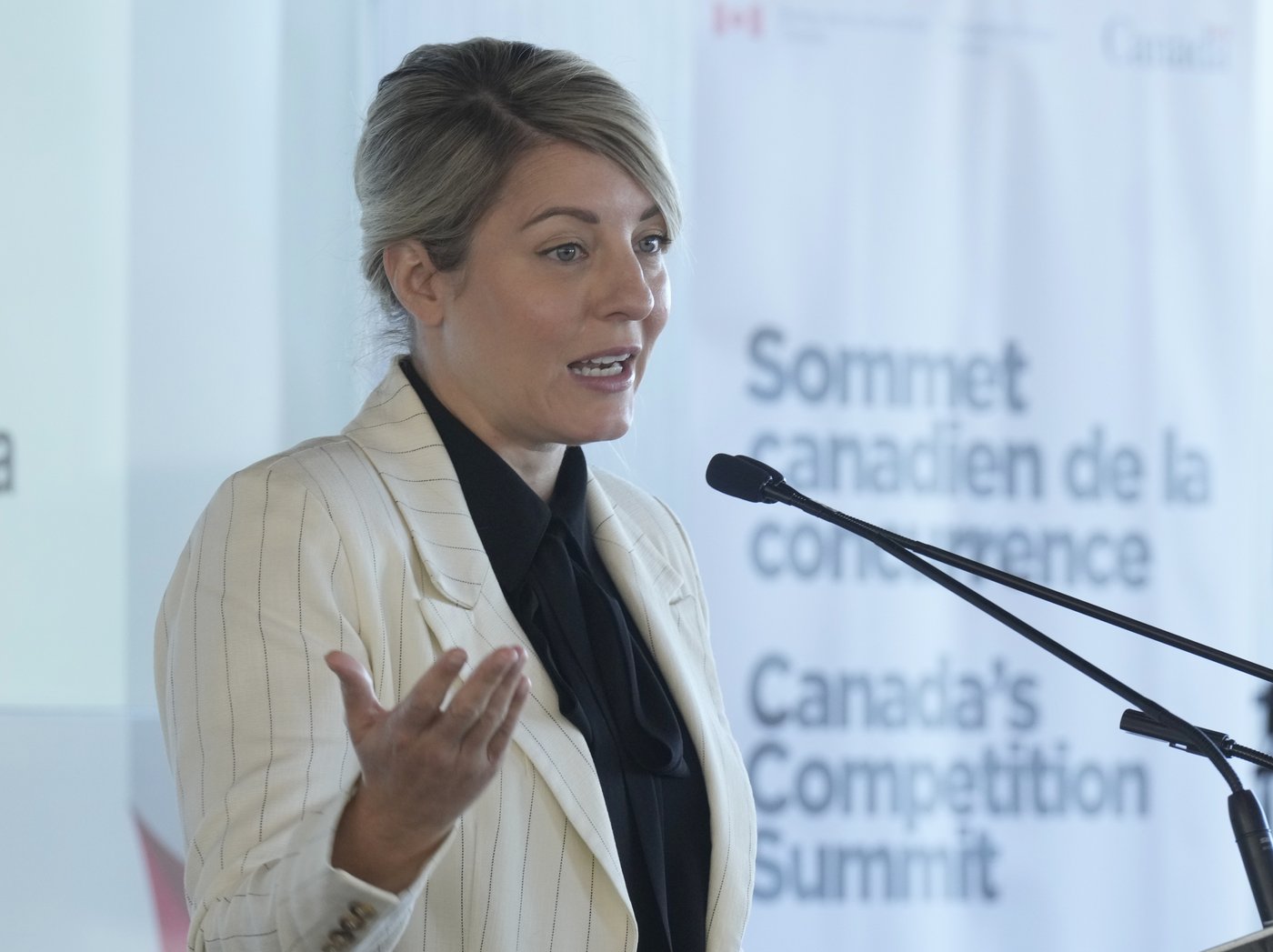 Joly says Ottawa will be 'hawkish' on competition to restore affordability | iNFOnews.ca