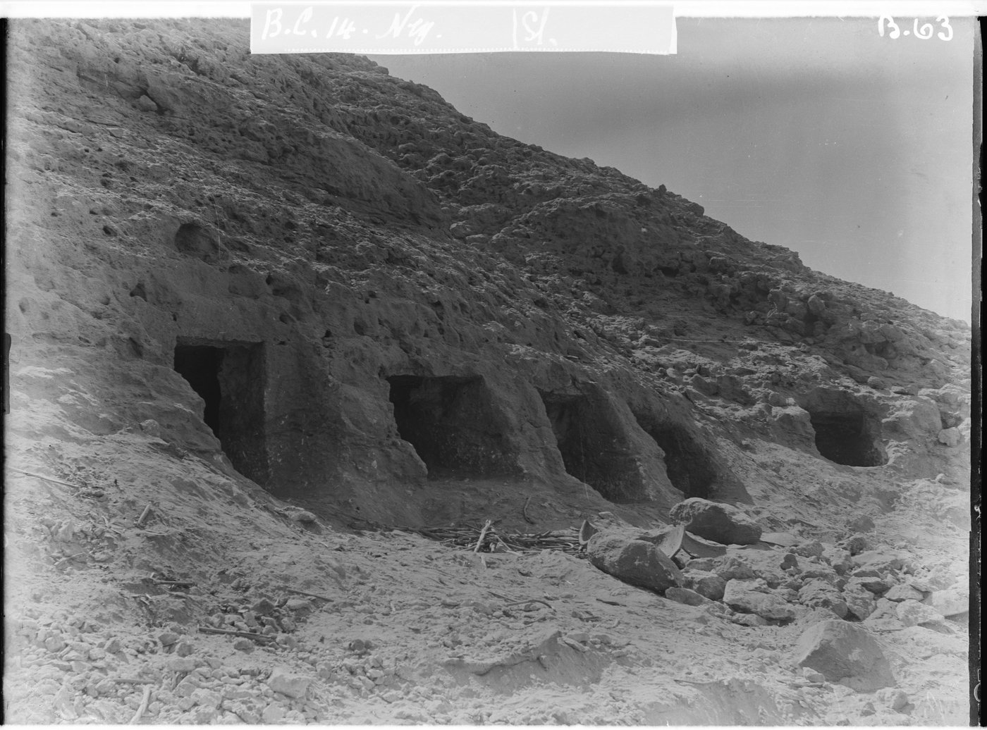 Ancient DNA shows genetic link between Egypt and Mesopotamia | iNFOnews.ca Ancient DNA shows genetic link between Egypt and Mesopotamia | iNFOnews.ca