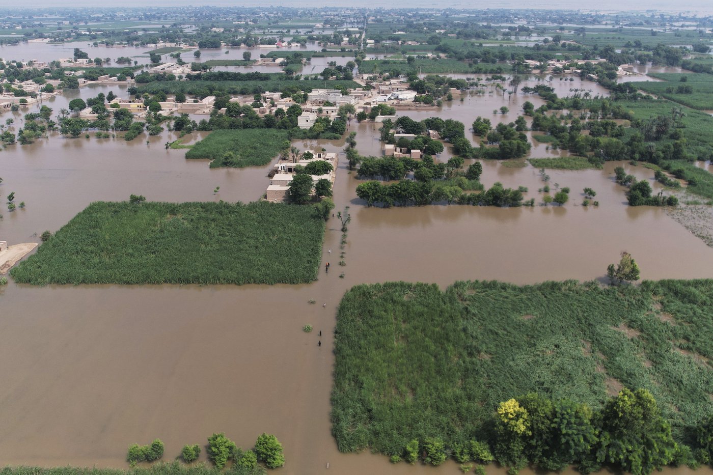 Half a million people flee their homes in Pakistan’s Punjab to escape flooding | iNFOnews.ca