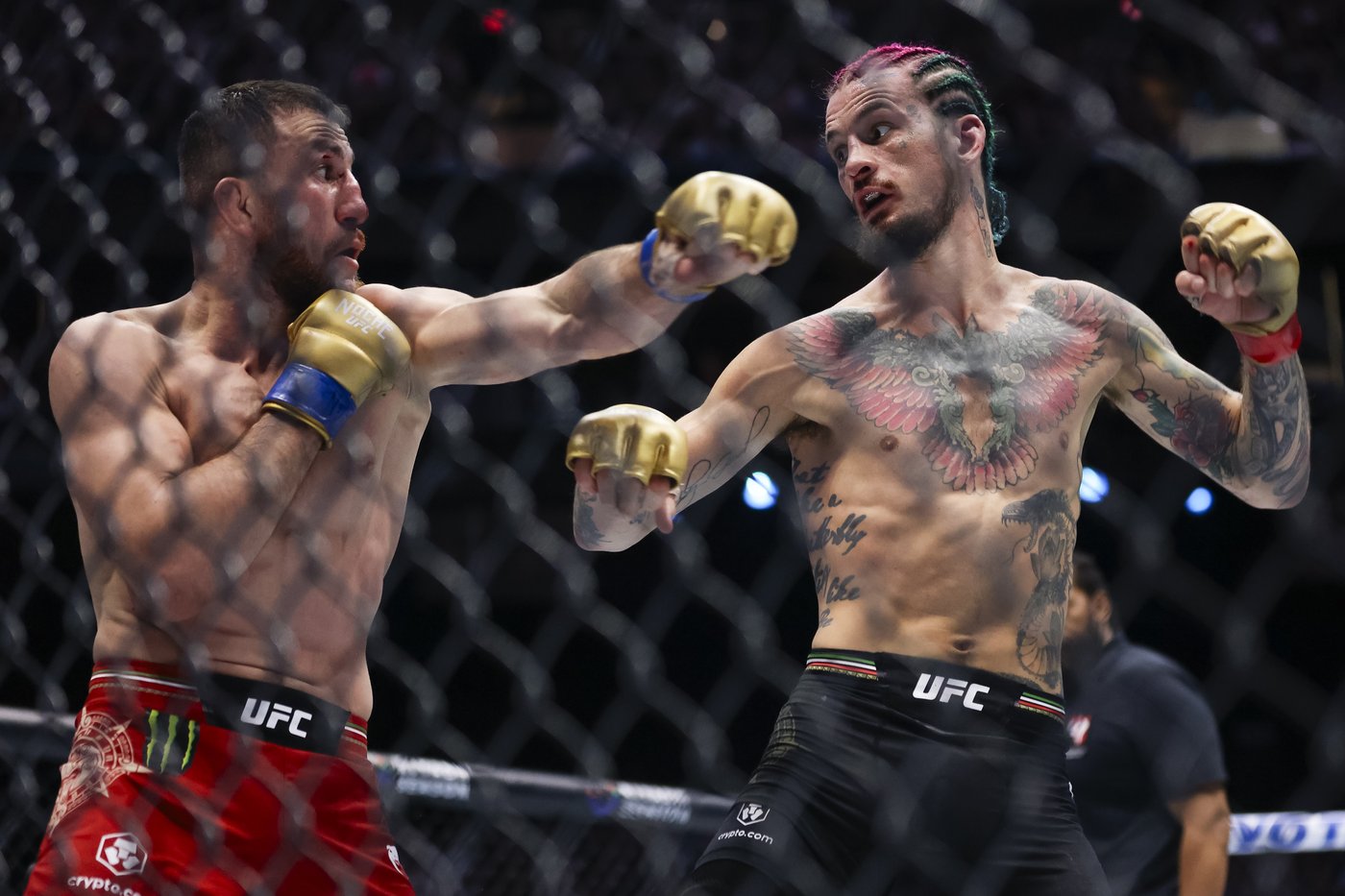 UFC title contender Sean O'Malley quit weed, social media and hair dye. Can it make him a champion? | iNFOnews.ca UFC title contender Sean O'Malley quit weed, social media and hair dye. Can it make him a champion? | iNFOnews.ca