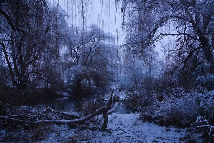 iN PHOTOS: Blue hour sets moody ambiance in Okanagan, Kamloops | iNFOnews.ca
