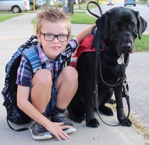 Family loses fight for autistic son to have service dog in class | iNFOnews.ca