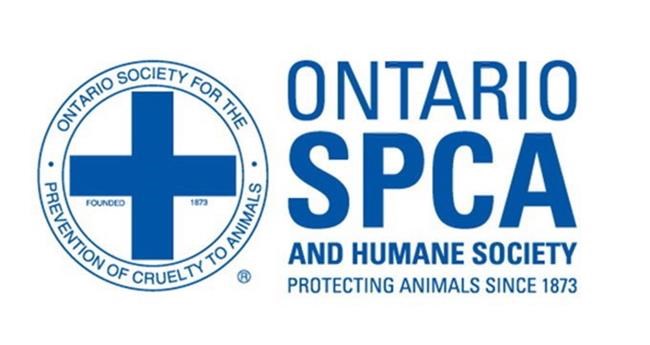 Ontario judge strikes down enforcement powers of OSPCA as unconstitutional | iNFOnews.ca Ontario judge strikes down enforcement powers of OSPCA as unconstitutional | iNFOnews.ca