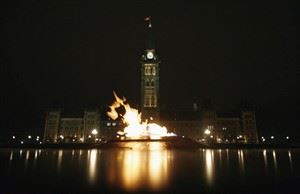CP20269699