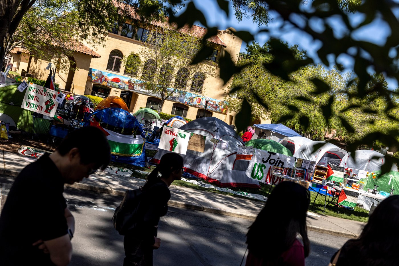 Pro-Palestinian demonstrators who occupied Stanford building are arraigned | iNFOnews.ca Pro-Palestinian demonstrators who occupied Stanford building are arraigned | iNFOnews.ca