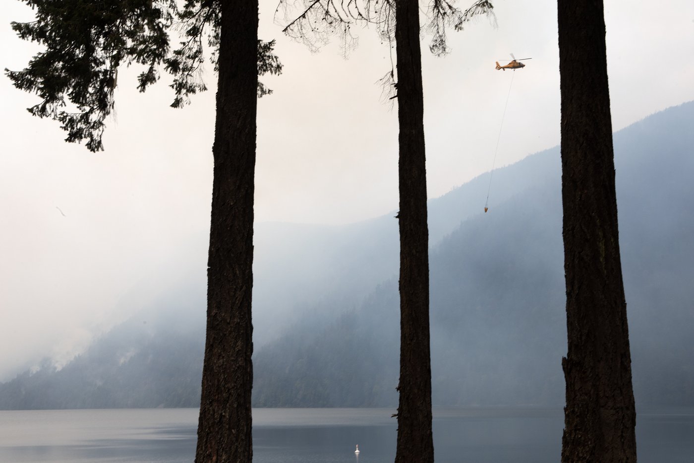Rain gives reprieve in B.C. fire fight before challenging days ahead: fire service | iNFOnews.ca