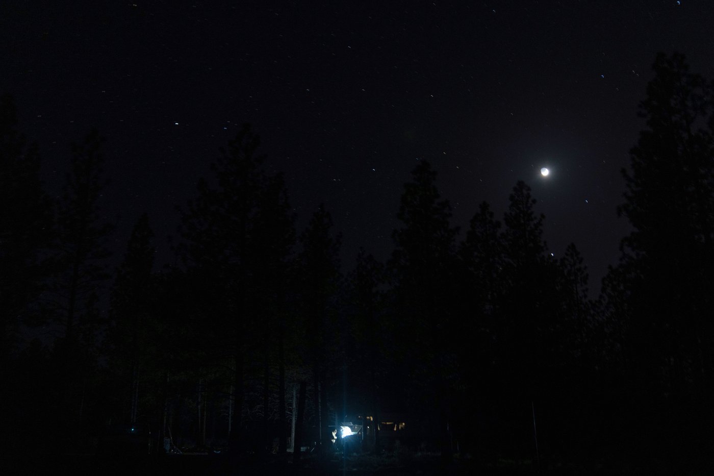 US Forest Service starts clearing homeless camp in Oregon national forest | iNFOnews.ca US Forest Service starts clearing homeless camp in Oregon national forest | iNFOnews.ca