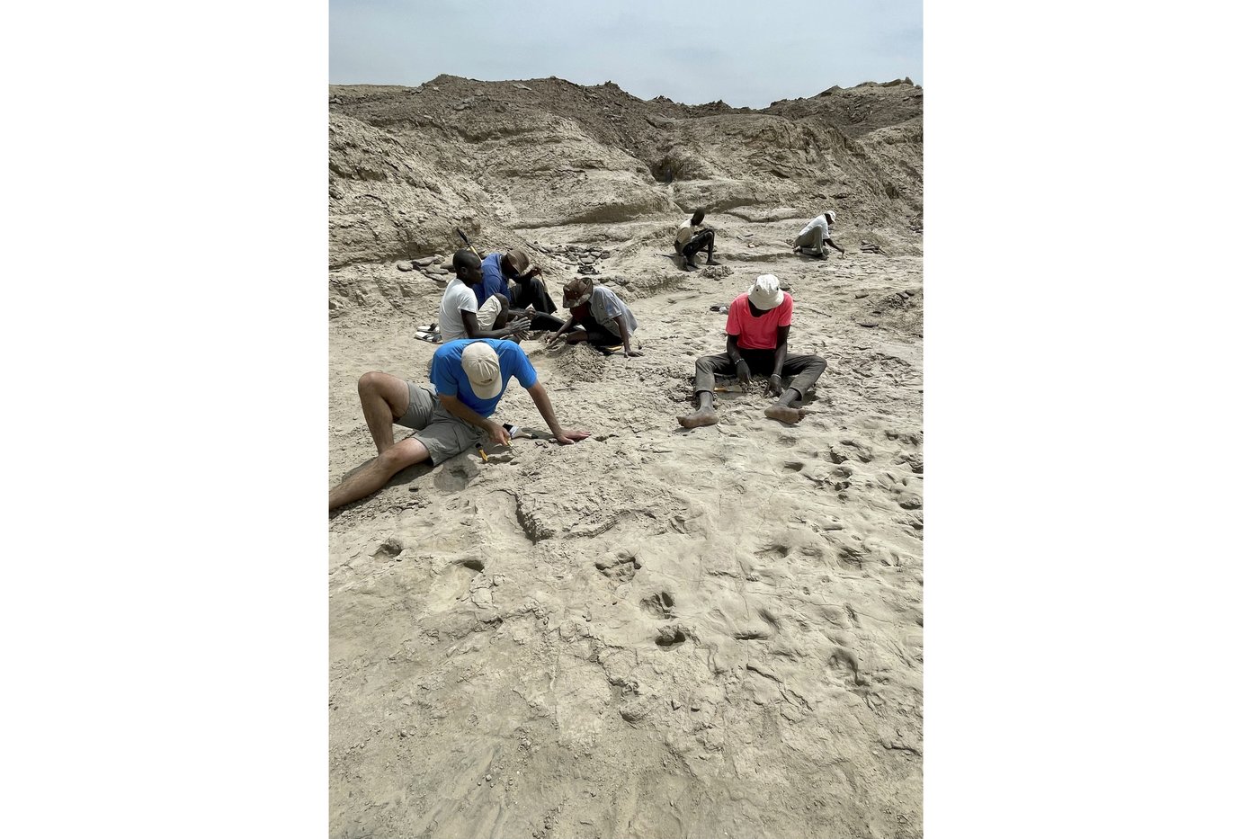 Muddy footprints suggest 2 species of early humans were neighbors in Kenya 1.5 million years ago | iNFOnews.ca