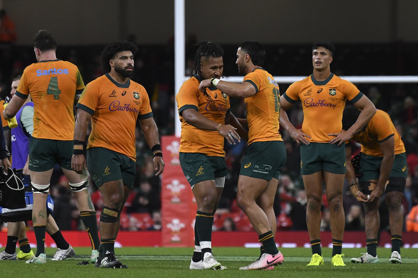 Wing 'wizard' Harry Potter to play for Australia's rugby team. He knows the puns are coming | iNFOnews.ca Wing 'wizard' Harry Potter to play for Australia's rugby team. He knows the puns are coming | iNFOnews.ca