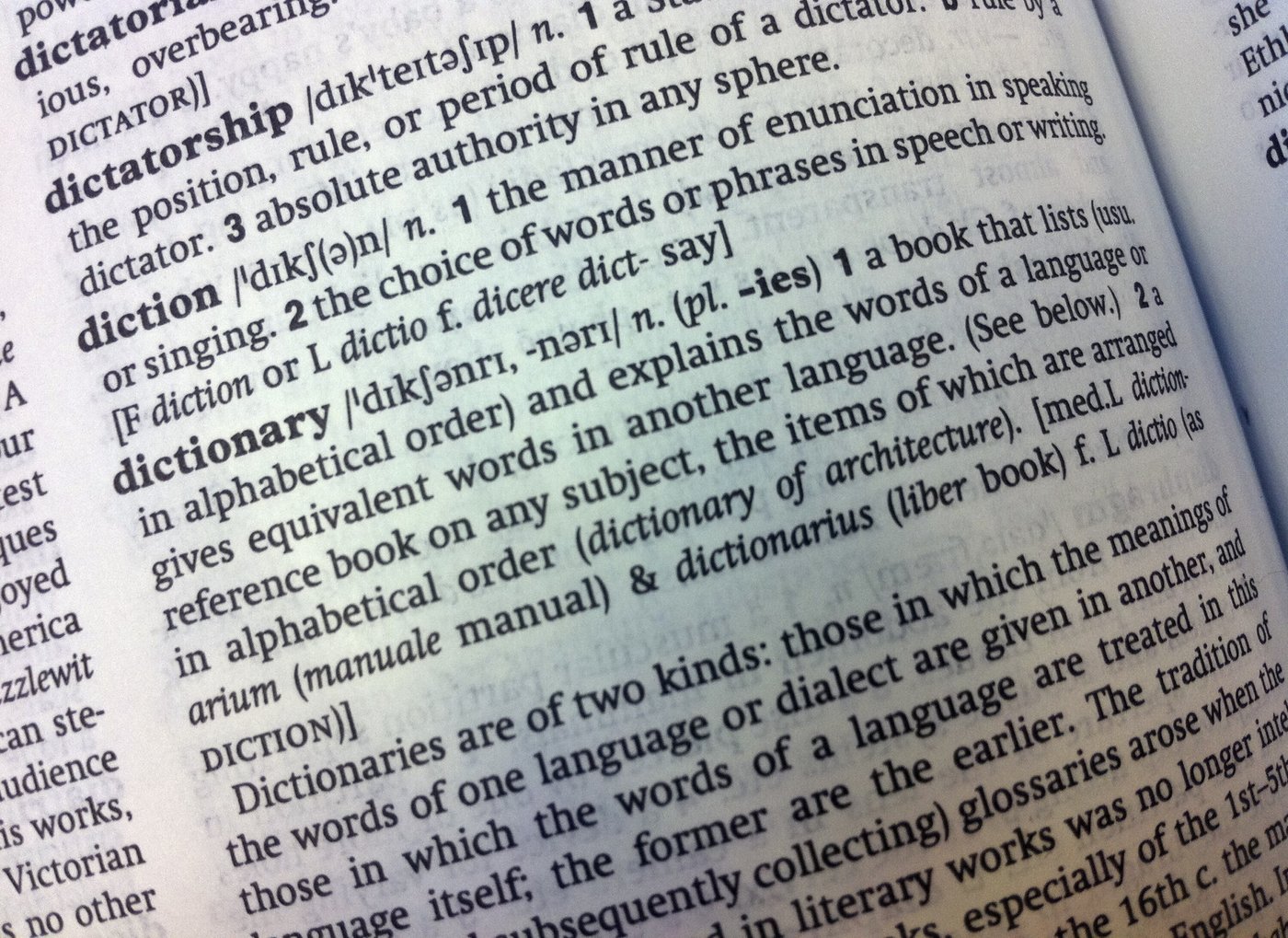 Cambridge Dictionary adds 'skibidi' and 'tradwife' among 6,000 new words | iNFOnews.ca