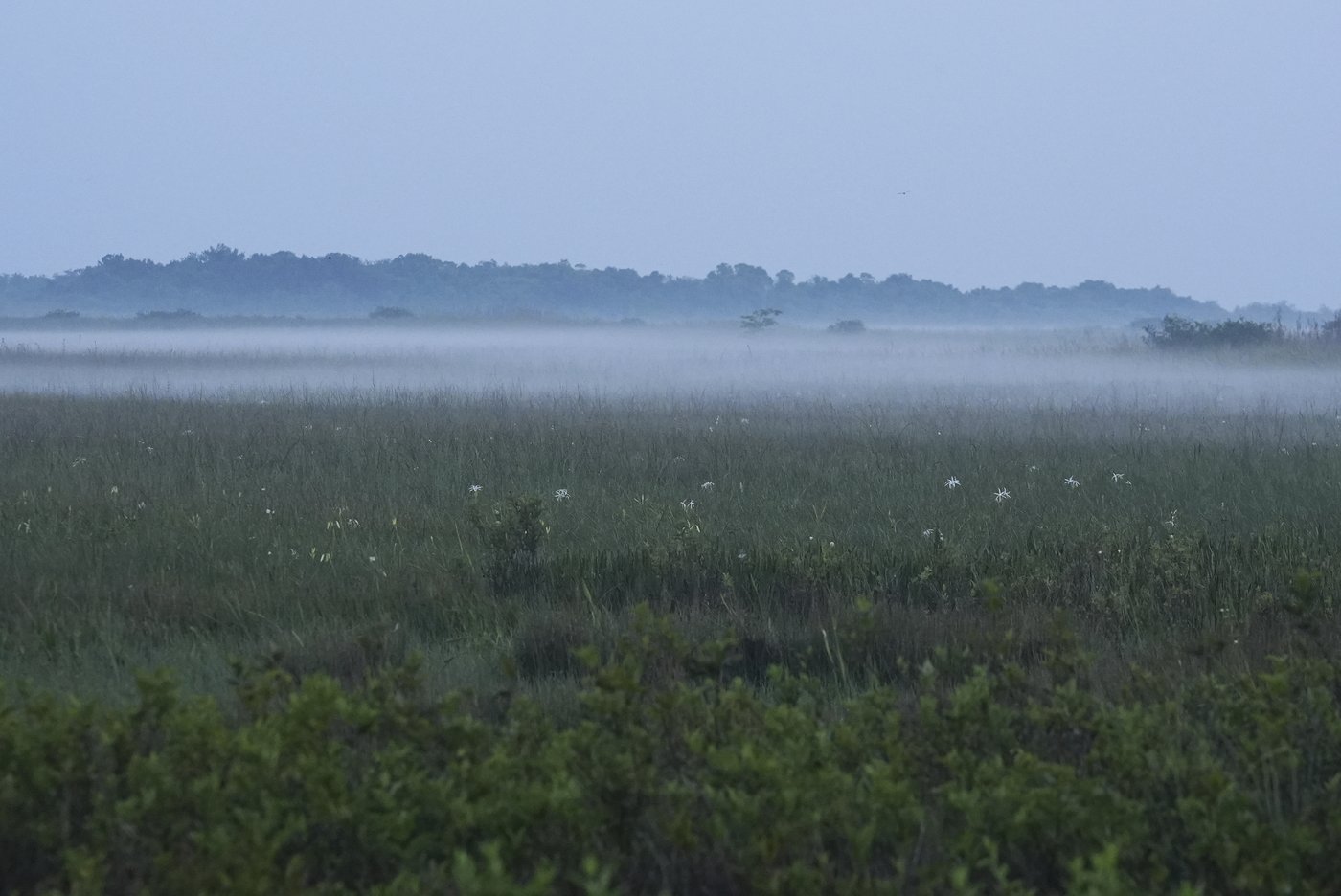 Takeaways from AP's story on Everglades restoration efforts | iNFOnews.ca Takeaways from AP's story on Everglades restoration efforts | iNFOnews.ca
