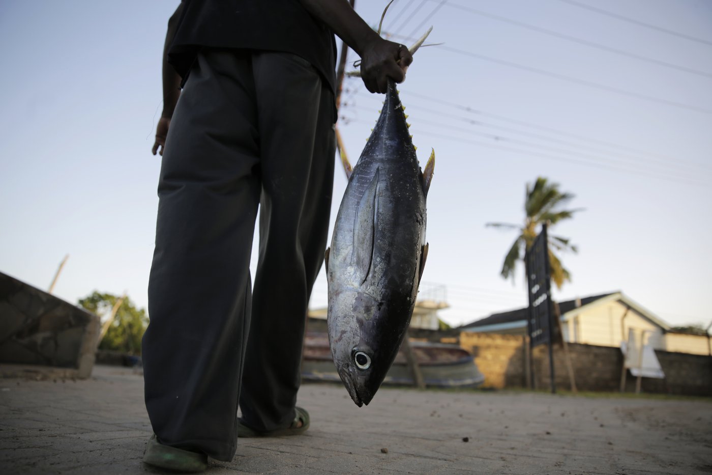 Long-wrought WTO global agreement aimed at reducing overfishing takes effect | iNFOnews.ca