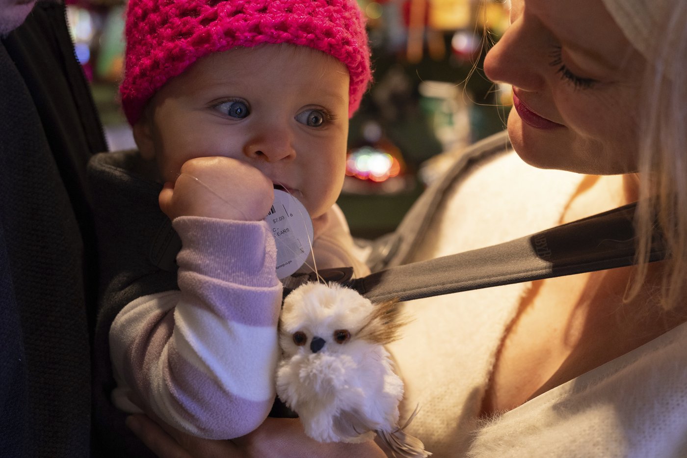 Magic and lights draw crowds to an alpine village in Washington state for Christmas | iNFOnews.ca