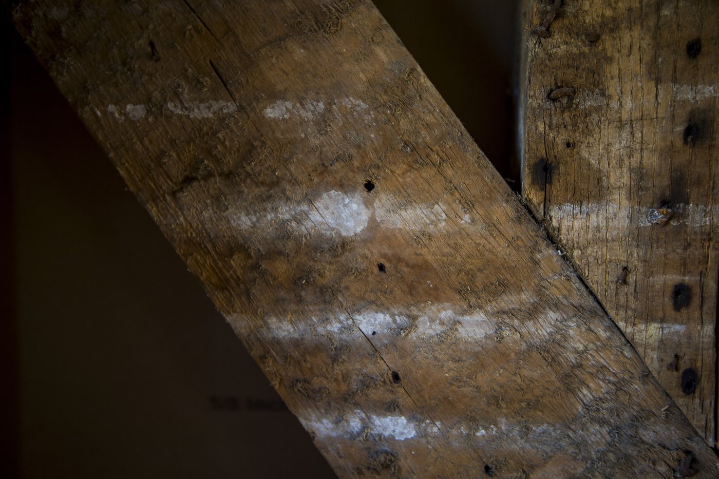 Inside a 1760 schoolhouse for Black children is a complicated history of slavery and resilience | iNFOnews.ca Inside a 1760 schoolhouse for Black children is a complicated history of slavery and resilience | iNFOnews.ca