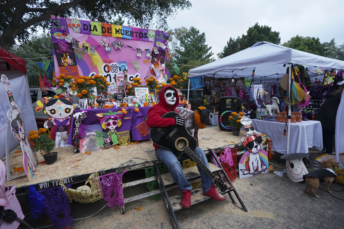 Pets join Mexico's Day of the Dead celebrations, as Fido and Tiger get their own altars | iNFOnews.ca