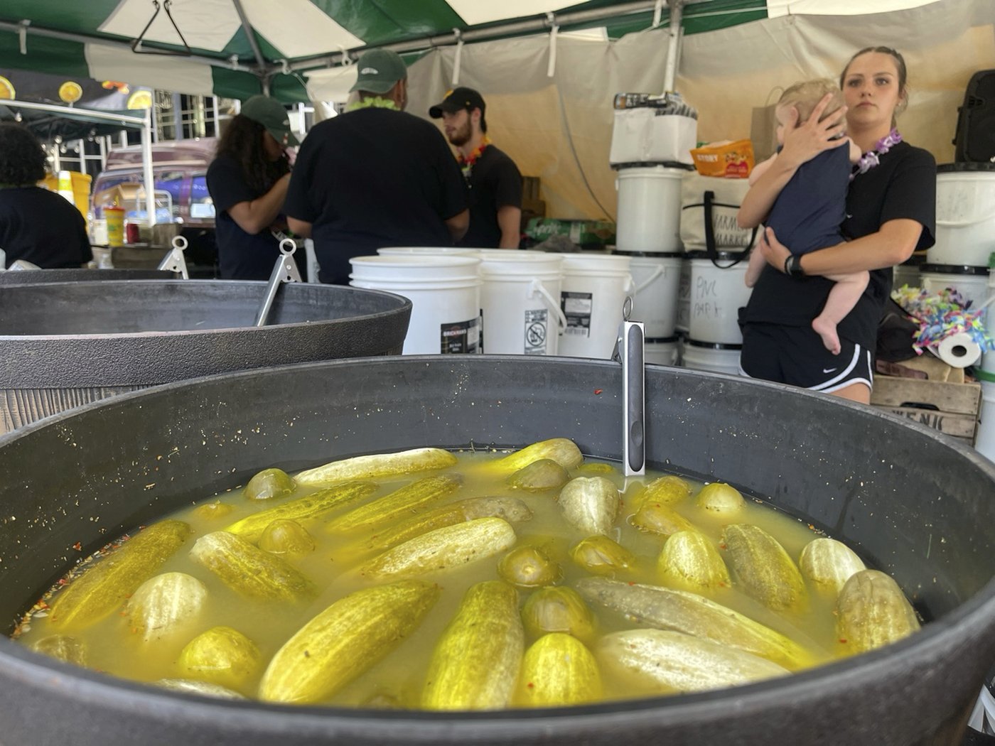 The dill of a lifetime? In a nation that’s enduring its own sour patch, the pickle dominated 2024 | iNFOnews.ca The dill of a lifetime? In a nation that’s enduring its own sour patch, the pickle dominated 2024 | iNFOnews.ca
