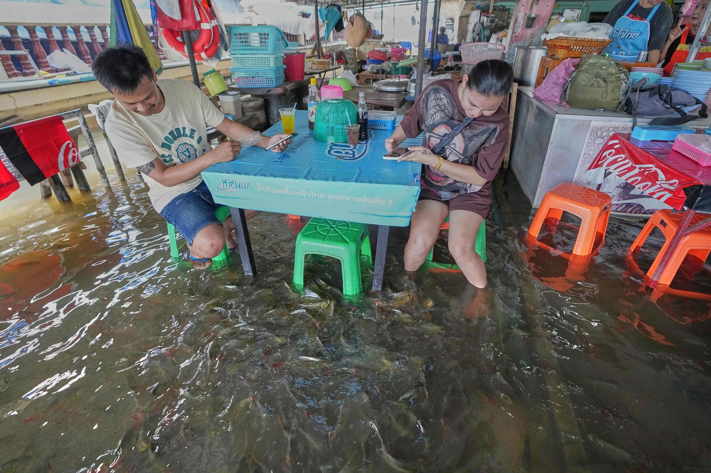 A flooded restaurant in Thailand brings delight with swimming fish among diners | iNFOnews.ca A flooded restaurant in Thailand brings delight with swimming fish among diners | iNFOnews.ca
