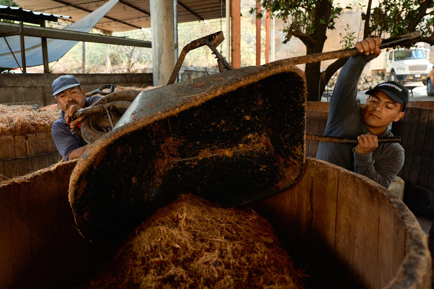 Mezcal's popularity is booming in the US. That comes with a growing environmental cost in Mexico | iNwine Mezcal's popularity is booming in the US. That comes with a growing environmental cost in Mexico | iNwine