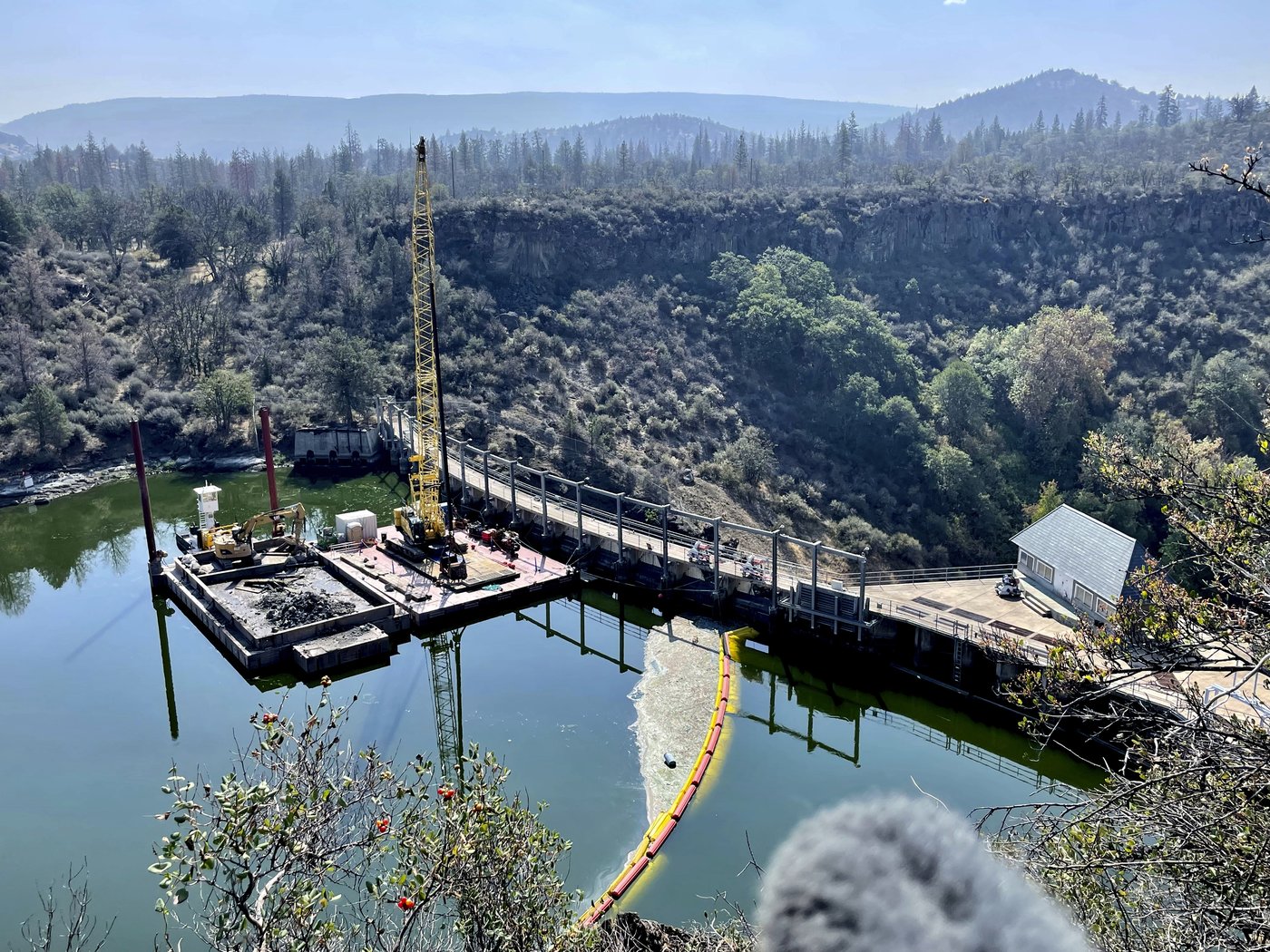 Salmon return to lay eggs in historic habitat after largest dam removal project in US history | iNFOnews.ca