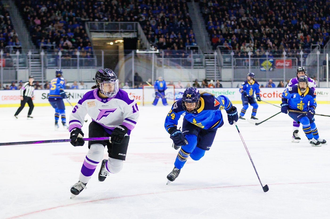 Sceptres set for playoff rematch against defending Walter Cup champion Frost | iNFOnews.ca Sceptres set for playoff rematch against defending Walter Cup champion Frost | iNFOnews.ca