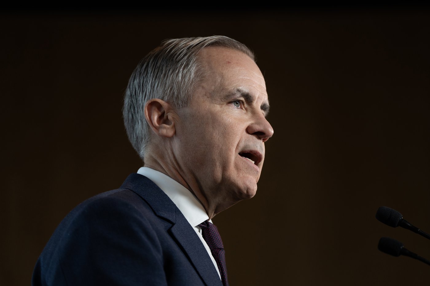 Mark Carney pledges to beat Trudeau's target date for meeting NATO spending benchmark | iNFOnews.ca Mark Carney pledges to beat Trudeau's target date for meeting NATO spending benchmark | iNFOnews.ca