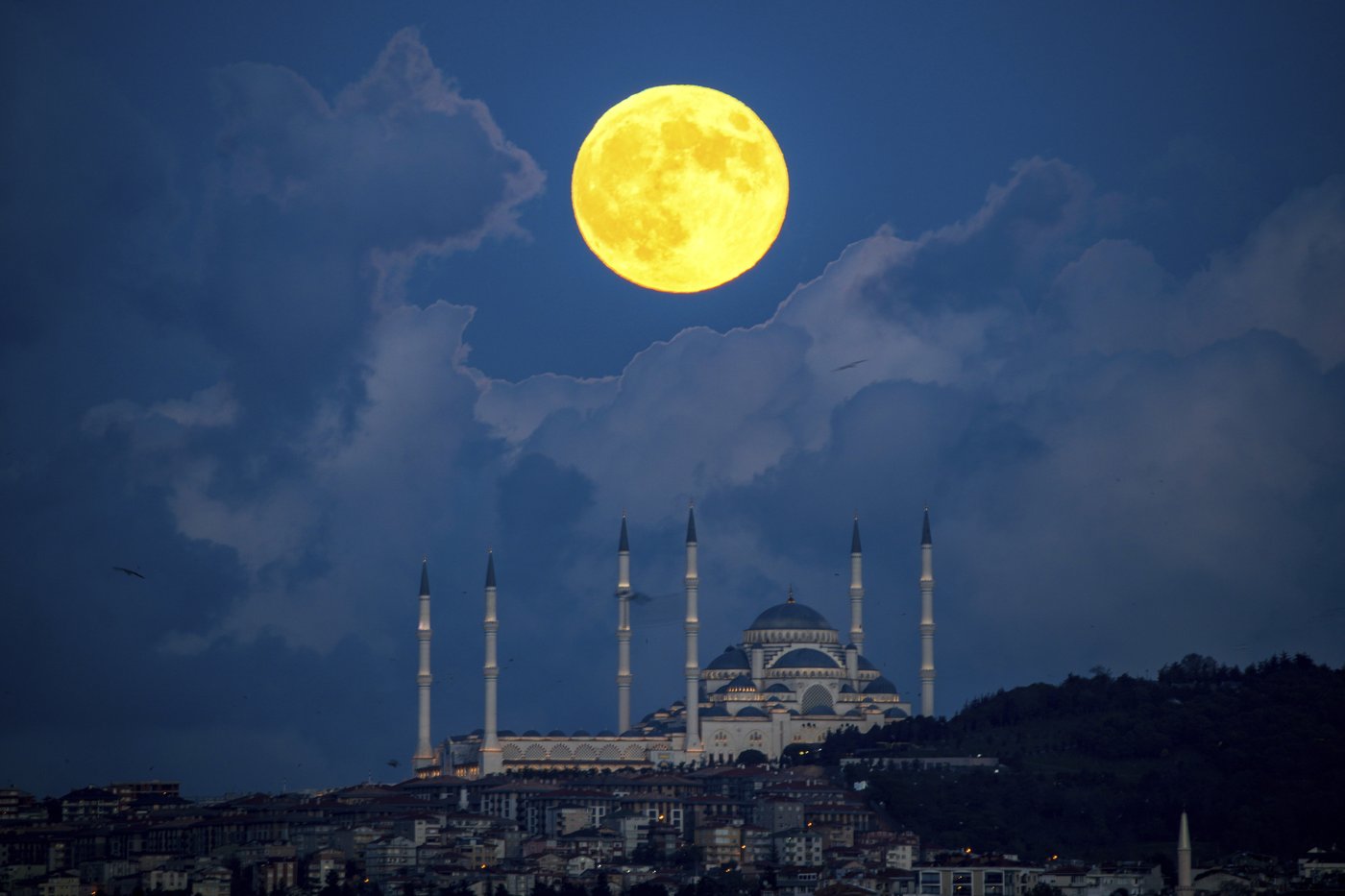 PHOTO COLLECTION: Supermoon | iNFOnews.ca PHOTO COLLECTION: Supermoon | iNFOnews.ca
