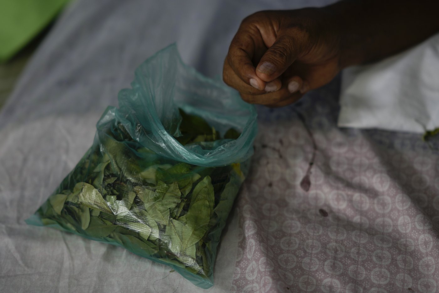 Bolivia's Evo Morales tells AP he'll press on with a hunger strike until his rival accepts dialogue | iNFOnews.ca Bolivia's Evo Morales tells AP he'll press on with a hunger strike until his rival accepts dialogue | iNFOnews.ca