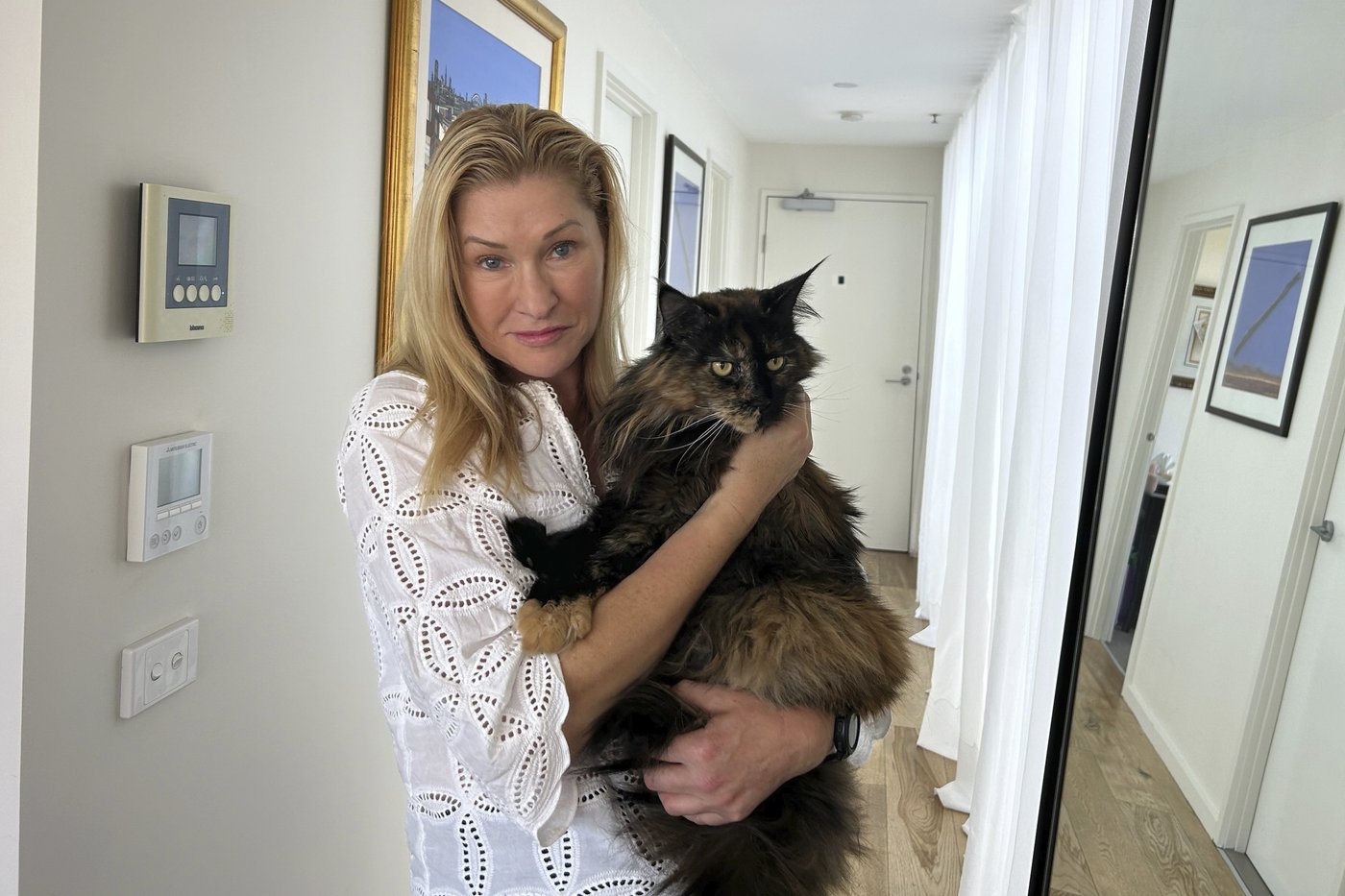 Mittens the cat is mistakenly left on a plane and becomes a frequent flyer | iNFOnews.ca