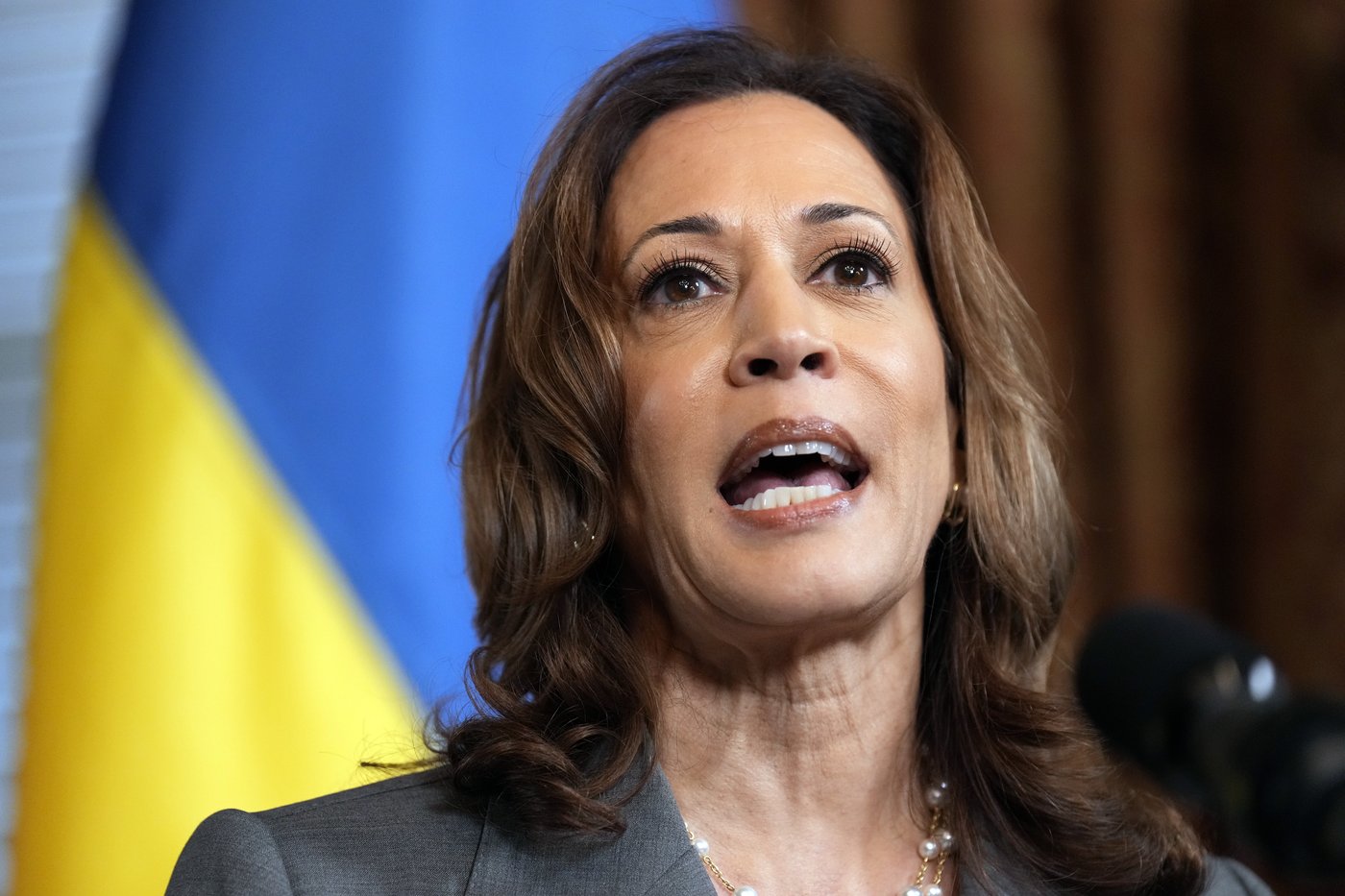 Harris heads to the US-Mexico border to face down criticism of her record | iNFOnews.ca Harris heads to the US-Mexico border to face down criticism of her record | iNFOnews.ca