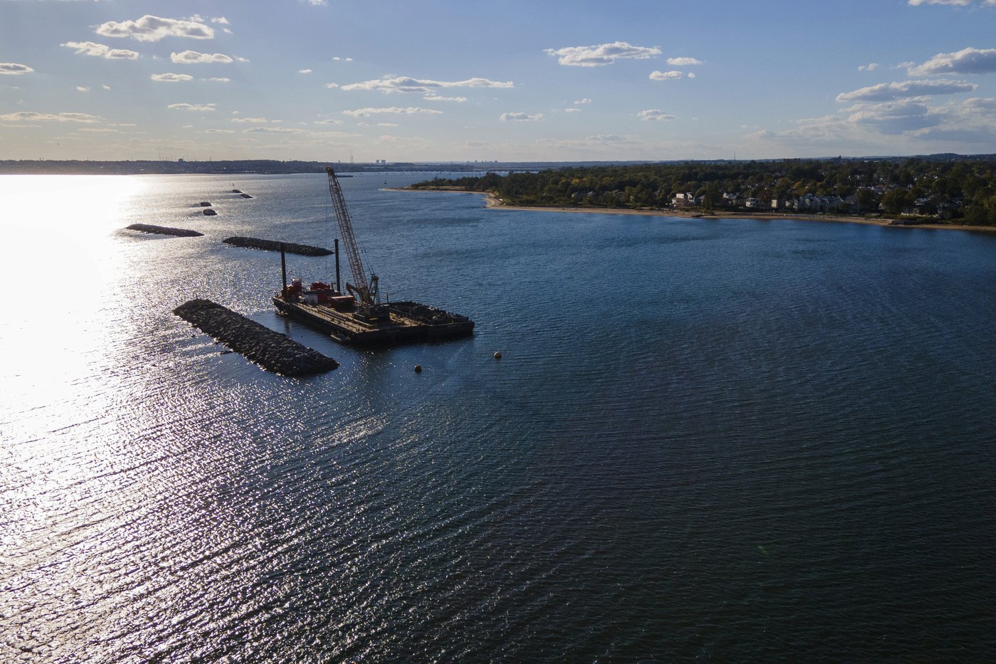 These artificial reefs off a New York City beach help sea creatures. They might also save lives | iNFOnews.ca