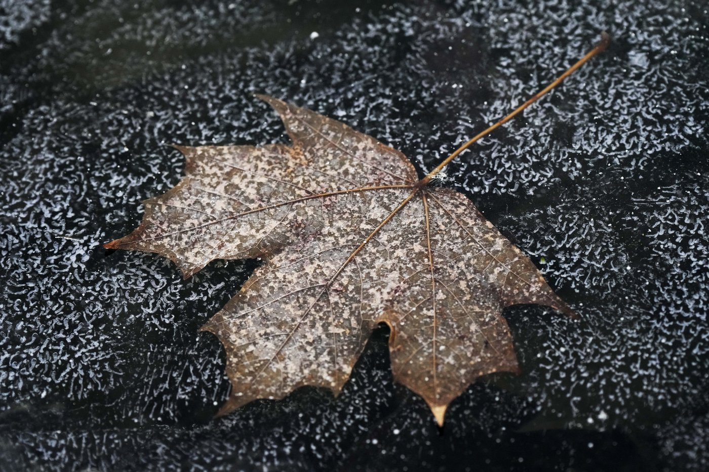 Bone-chilling cold returns to the Midwest in the wake of a storm that soaked the East Coast | iNFOnews.ca