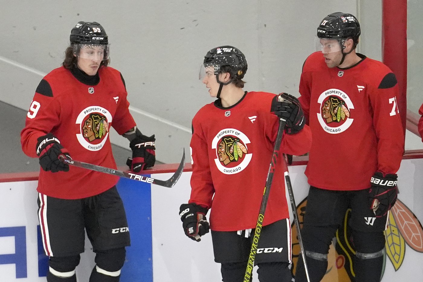 Tyler Bertuzzi looking to help the Chicago Blackhawks emerge from their rebuild | iNFOnews.ca Tyler Bertuzzi looking to help the Chicago Blackhawks emerge from their rebuild | iNFOnews.ca