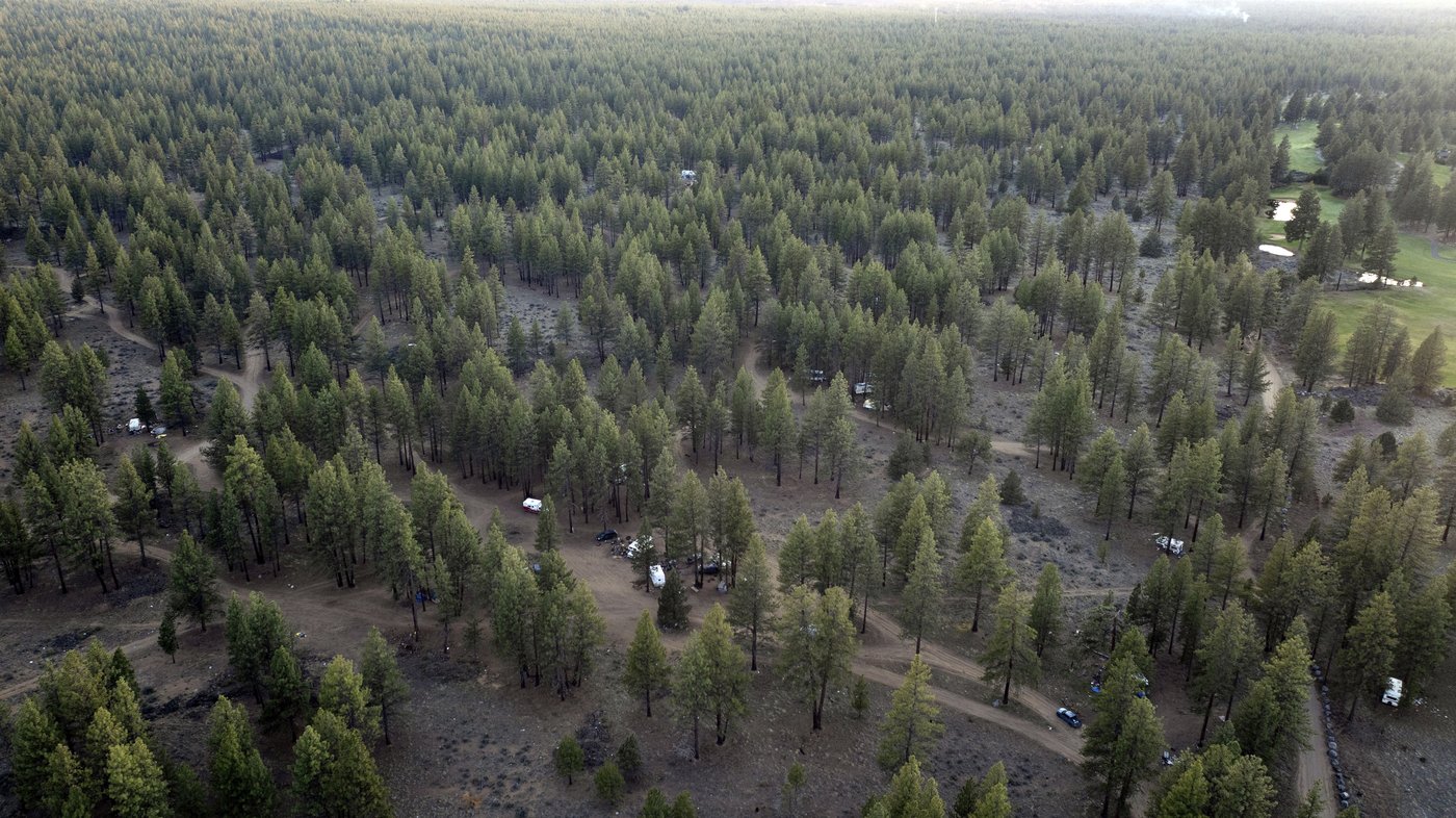 US Forest Service starts clearing homeless camp in Oregon national forest | iNFOnews.ca US Forest Service starts clearing homeless camp in Oregon national forest | iNFOnews.ca