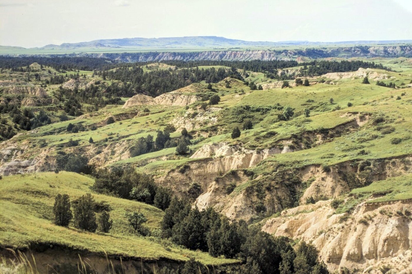 National monument proposed for North Dakota Badlands, with tribes' support | iNFOnews.ca