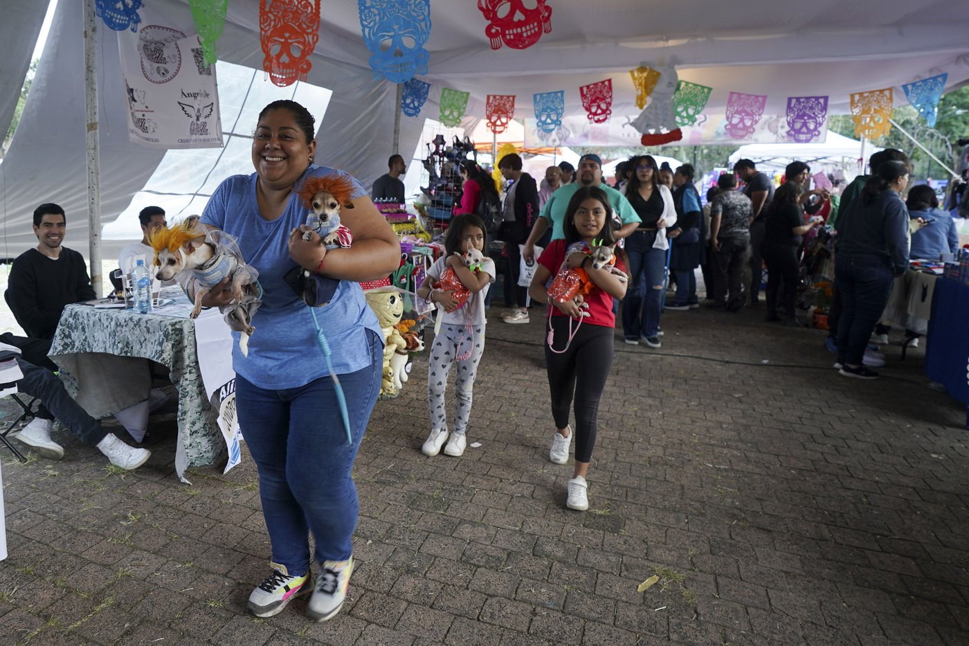 Pets join Mexico's Day of the Dead celebrations, as Fido and Tiger get their own altars | iNFOnews.ca