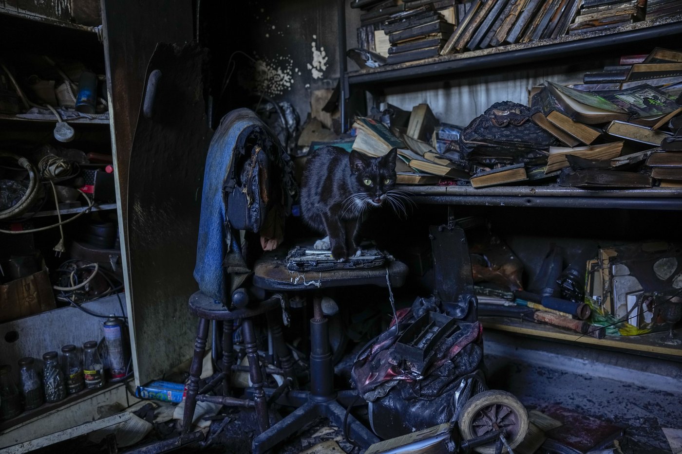 PHOTOS OF THE YEAR: Through photographers' lenses, an epic catalog of humanity in 2024 emerges | iNFOnews.ca