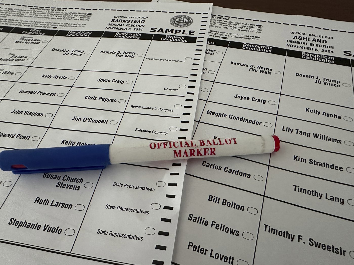New Hampshire will decide incumbent's fate in 1 US House district and fill an open seat in the other | iNFOnews.ca New Hampshire will decide incumbent's fate in 1 US House district and fill an open seat in the other | iNFOnews.ca