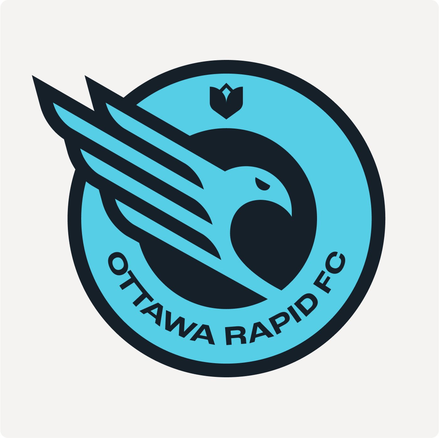 Winger Melanie Forbes happy to be back in Canada, with the NSL's Ottawa Rapid FC | iNFOnews.ca