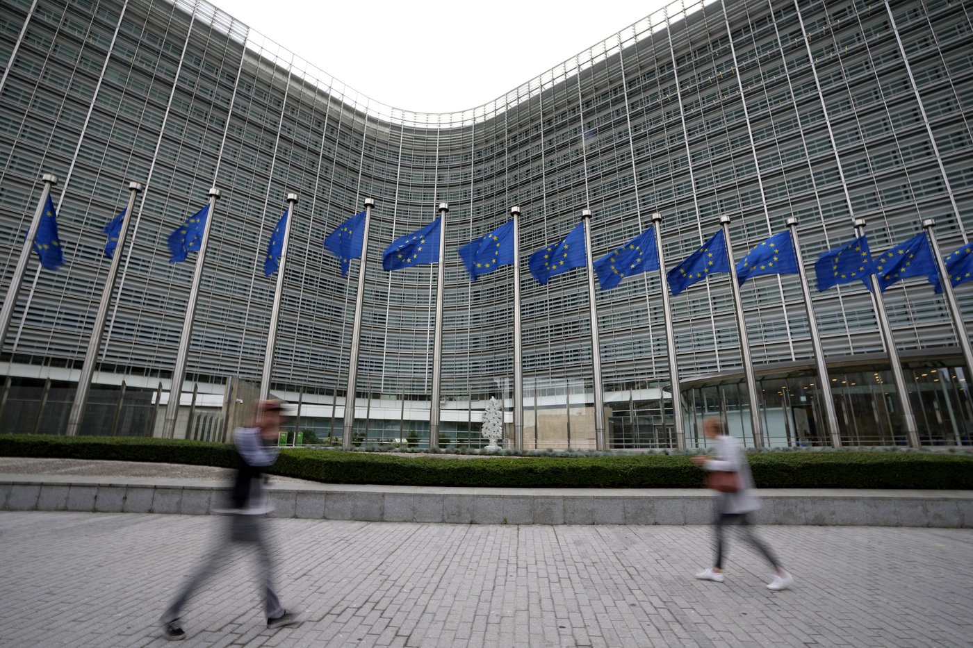 EU offers to delay new deforestation rules after an outcry from governments and farmers | iNFOnews.ca