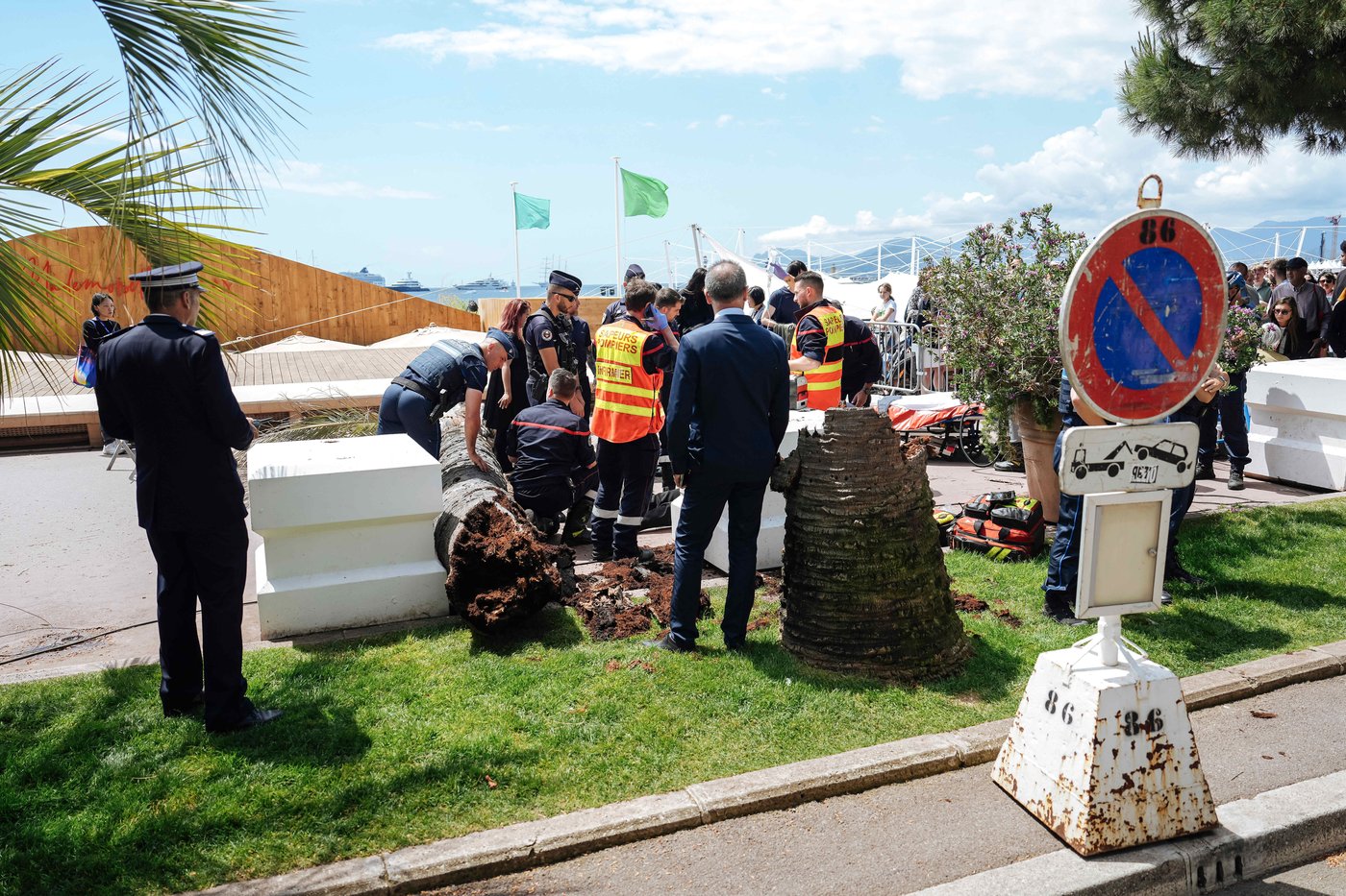 Palm tree falls on a person at Cannes Film Festival | iNFOnews.ca